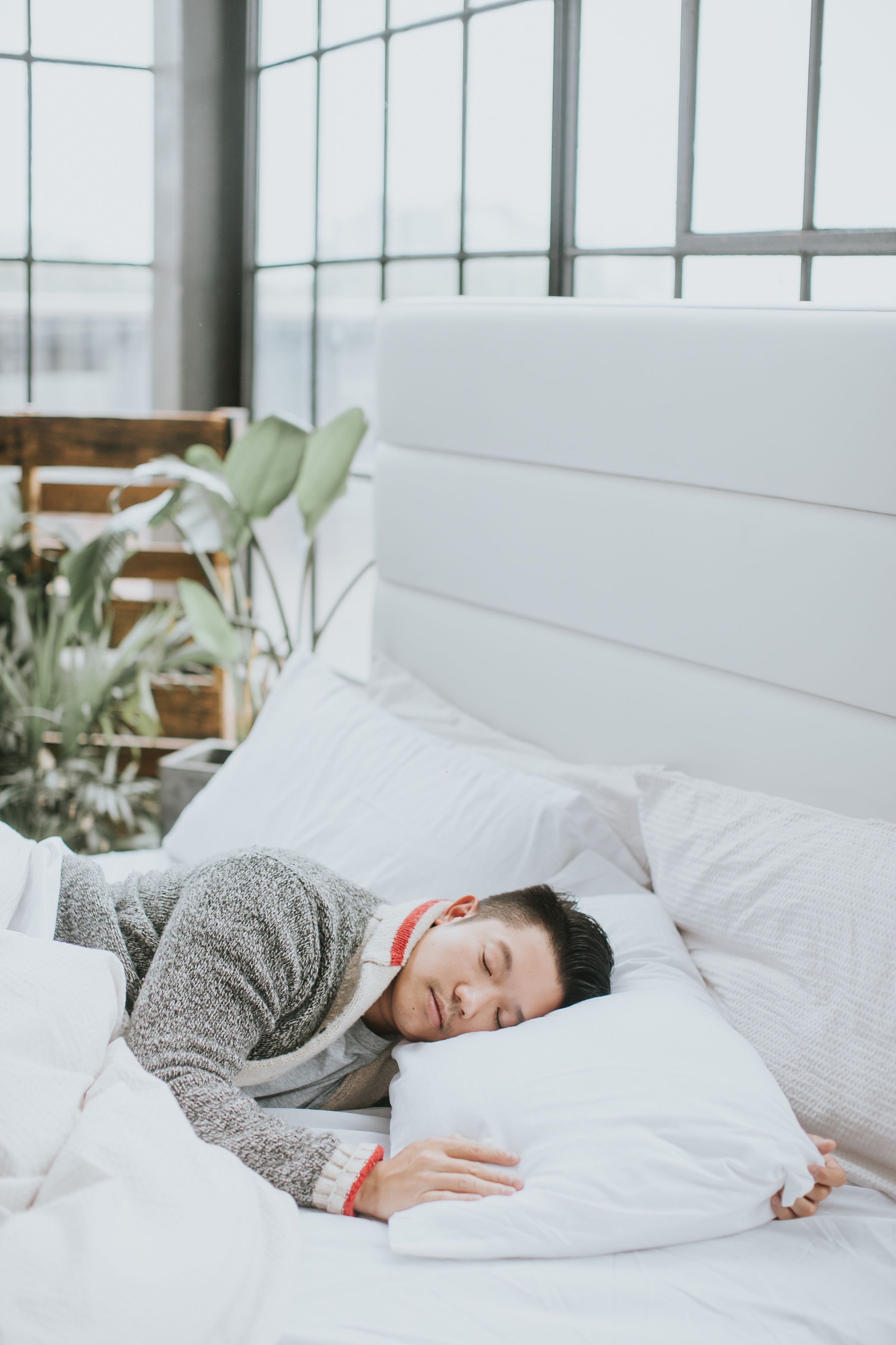 Zazen Bed in bedroom
